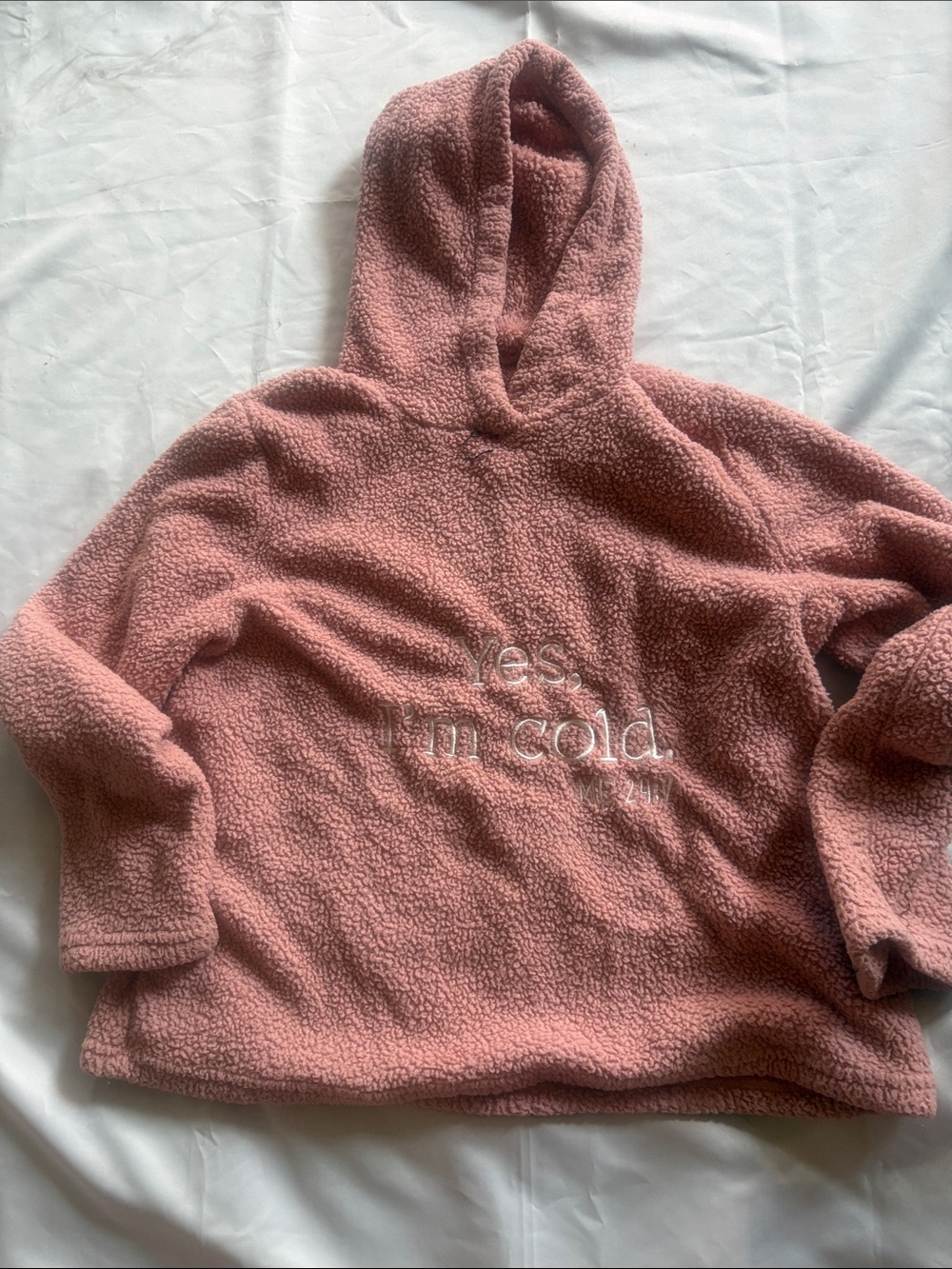 Plush Pink Sherpa Hoodie with 'yes, i'm cold' Embroidery